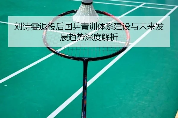 刘诗雯退役后国乒青训体系建设与未来发展趋势深度解析